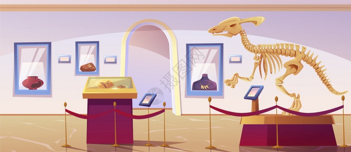 怀旧手工艺品具有恐龙骨架和考古展览的历史博物馆内部古生学和考史前动物和代文展览的矢量漫画插图带有恐龙骨架的历史博物馆内部插画