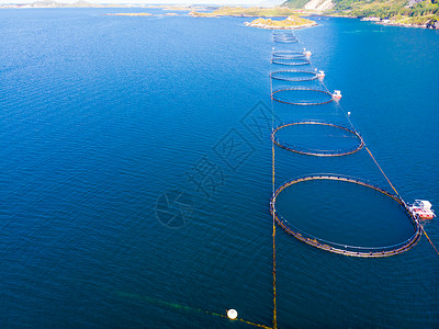 挪威Lofoten岛海洋鲑鱼捕捞养场背景图片