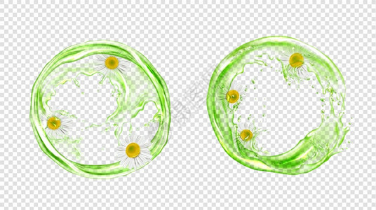 透明背景隔离的甘菊绿茶圆形喷洒矢量元素图片