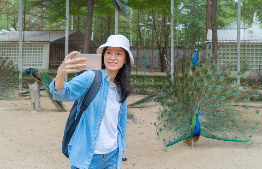 快乐的亚裔女一位旅游者行和拍照片或自用移动智能手机在Peacock鸟的社交媒体上张贴在动物园公里有羽毛野兽在大自然中人们在旅行图片