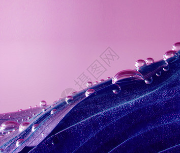 VioletLaef粉红色水滴图片