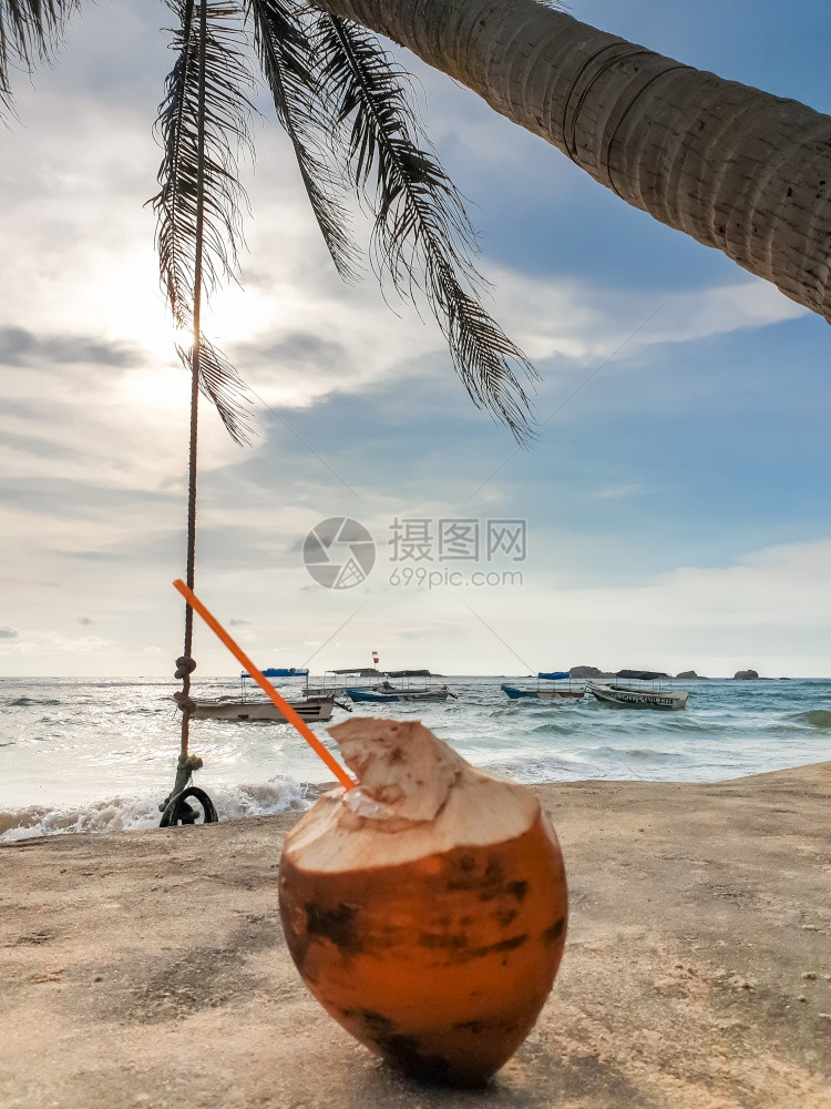 在阳光明媚的刮风日椰子落在海滨上阳光明媚的风日椰子在海滨上紧贴的图像图片