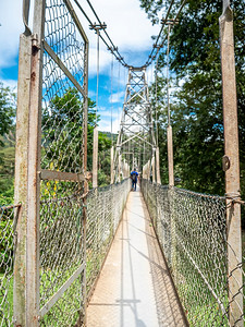 热带丛林悬吊桥入口图象图片