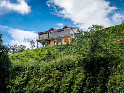 茶叶种植园上层的豪华别墅美丽照片茶叶种植园上层的豪华别墅美丽图像图片