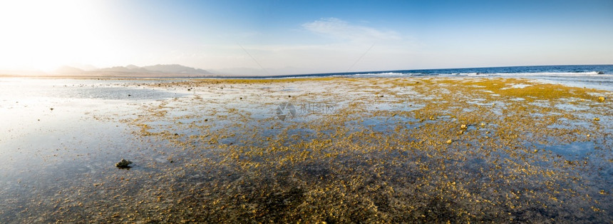 海洋沿岸珊瑚和岩石山地蓝天背景上的大面积珊瑚和岩石图象海洋沿岸珊瑚和岩石全幅照片背景上的山和蓝天空图片