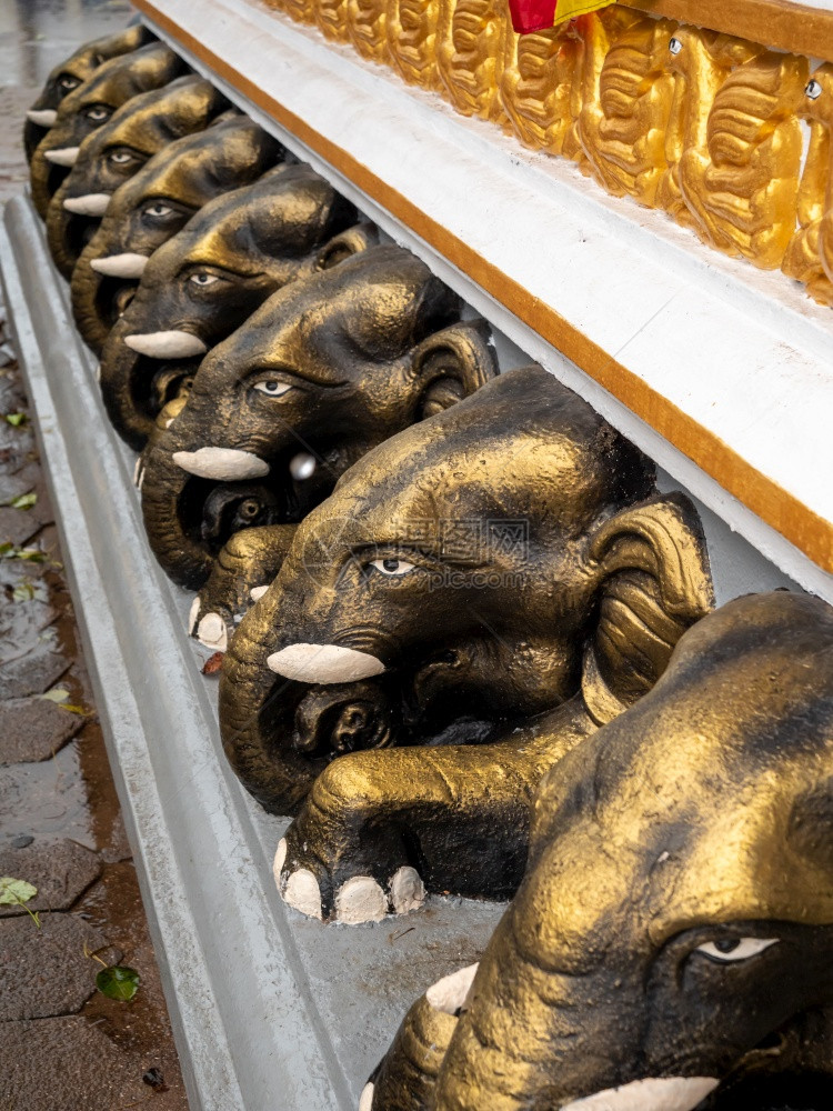 寺庙中传统装饰印度教大象或佛的近照图片