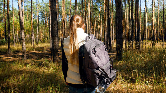 女游客背包在松林中行走的近视照片图片