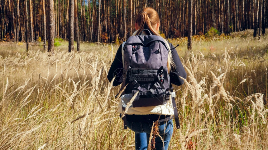 携带大袋子穿过草地和森林中高的女旅游者带大袋子穿过草地的女旅游者带大袋子穿过森林中高草地的女旅游者带大袋子穿过草地的女旅游者带大图片