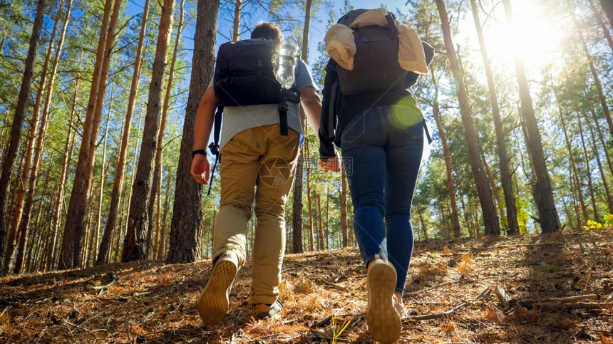 夫妇在森林中徒步旅行图片