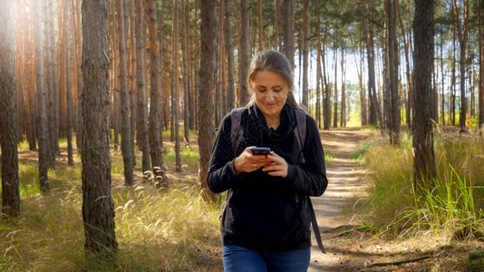 美的笑女游客在远足路线上行走在智能手机中使用导航器图片