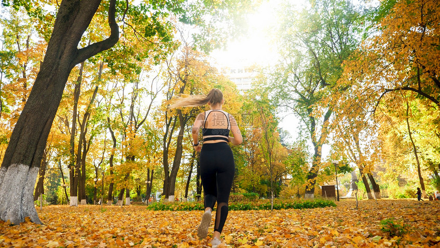 秋季公园跑步的感年轻女子后视照片图片