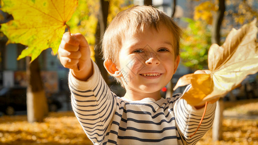 快乐笑的幼儿男孩近距离肖像在公园有黄色的秋叶图片