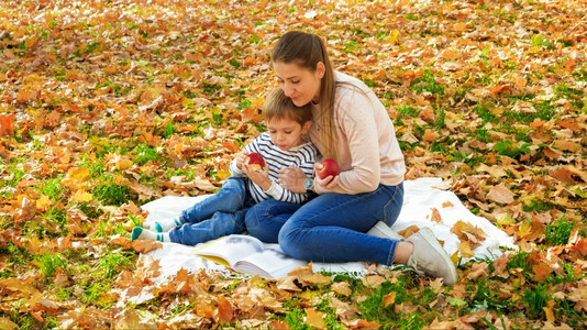 美丽的年轻母亲和小儿子在秋天公园野餐和阅读故事书图片