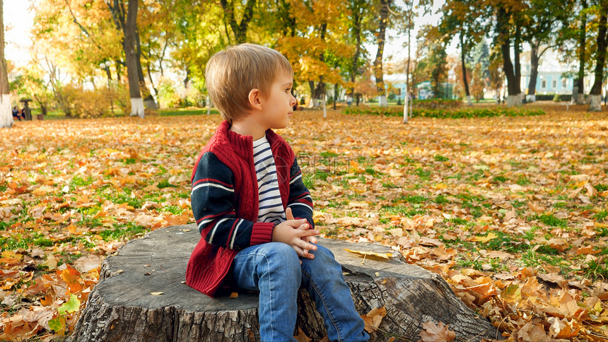 坐在公园树桩上的男孩图片