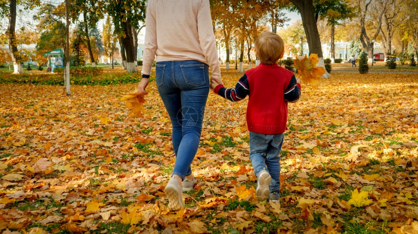 男孩手牵着母亲在秋天公园行走的近视照片图片