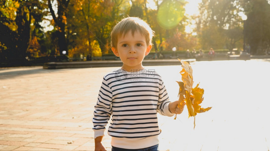 可爱男孩的肖像他拿着秋树叶假扮日落的光图片