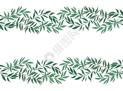 树叶和草自然背景和文字位置的装饰树枝矢量说明图片