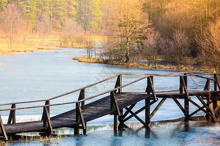 笔直湖上木桥风景天体自然美观冷冻湖上的老木桥小阳光明媚的寒冷日背景