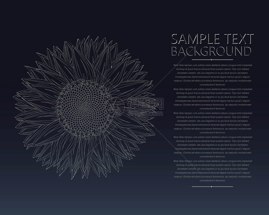 黑白向日葵模板文本卡图片