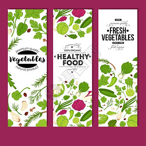 蔬菜新鲜和健康食品矢量背景图片