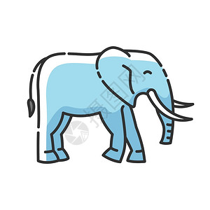 大型动物群大象RGB颜色图标大陆地动物外来野生非洲草原印度动物大型哺乳长树干和象牙孤立矢量说明颜色图标插画
