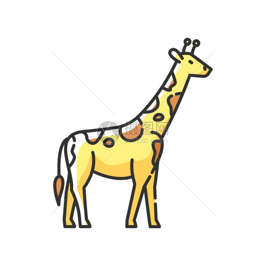 GiraffeRGB彩色图标长颈外栖动物非洲草食野生动物非洲草原热带动物园Tallcamelopard孤立矢量图彩色标图片