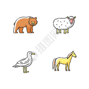 羊矢量图野生动物矢量图插画