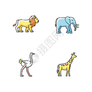 捕食狮子非洲野生物RGB颜色图标集外来动物热带捕食和草狮子大象长颈鹿和食生动物孤立的病媒图解插画