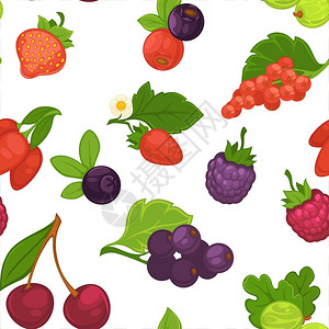 有机食品无缝果莓农场产品图片
