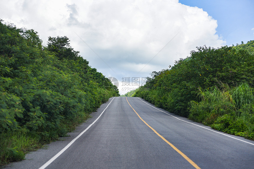 天然绿树的长直线道路图片