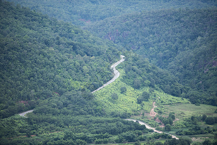 通往山路上天然绿树的长直路图片