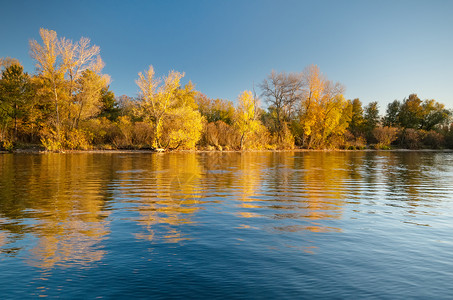 秋天的森林和湖泊反射秋天的风景图片