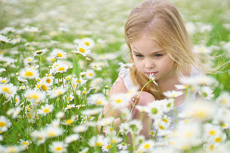 穿着大卡莫米尔草地的可爱小女孩肖像成分背景