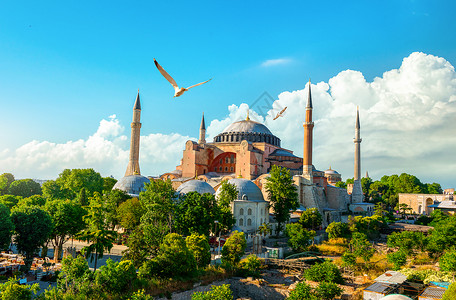 苏丹土耳其伊斯坦布尔日落时鸟和HagiaSophia背景