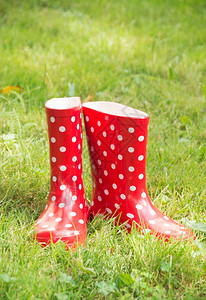 花园草地上的红橡胶靴背景图片