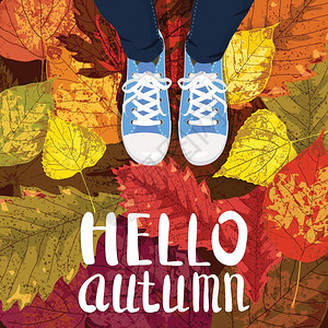 你好秋季来信运动鞋秋叶情调浪漫叶鞋季情绪浪漫向量插图卡片孤立图片