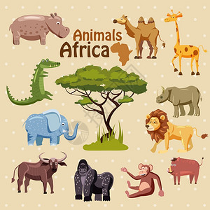 非洲动物素材卡通风格非洲动物矢量插画插画