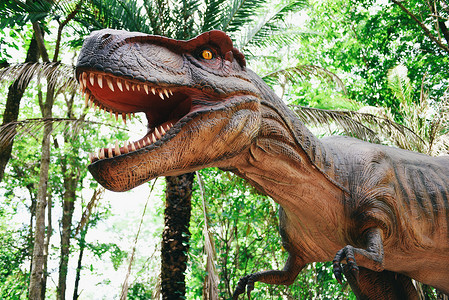 森林公园中的恐龙雕像暴雷克斯高清图片