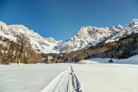 美丽的田地冬季风景有人行道惊的山脉雪树和蓝天空图片