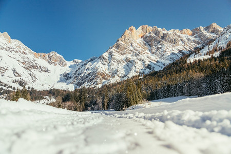 美丽的田地冬季风景有人行道惊的山脉雪树和蓝天空图片