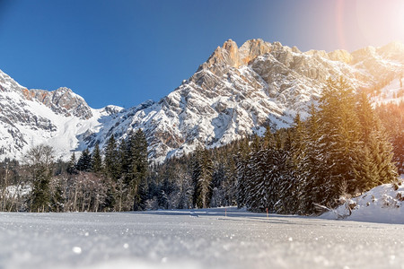 美丽的田地冬季风景惊人的山脉雪树和蓝天空图片