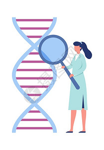 螺旋形持有放大镜玻璃和检查dna线框架结构矢量图的女医疗或实验室工作者DNA遗传工程实验室研究生物技术概念女医疗或实验室工作者插画