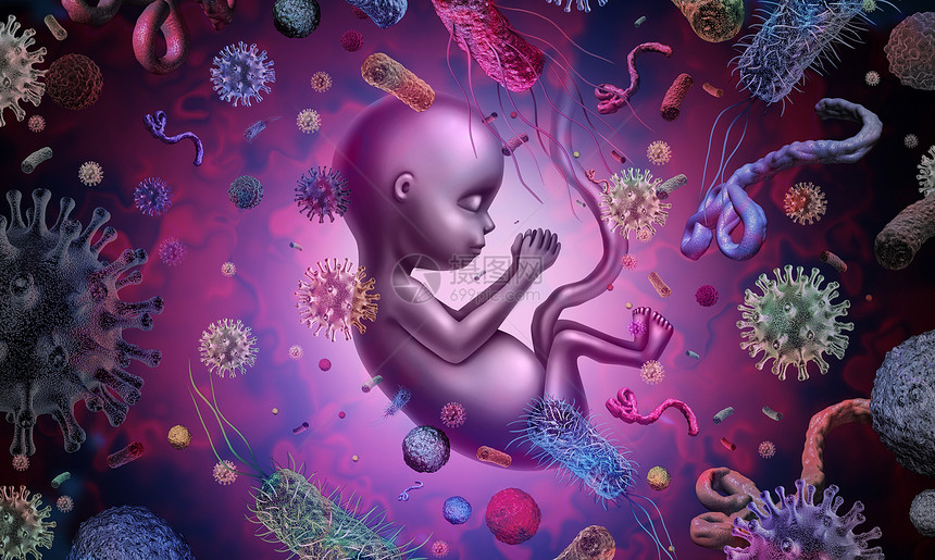 胎儿传染疾病和产妇感是三维的产科和妇问题图片