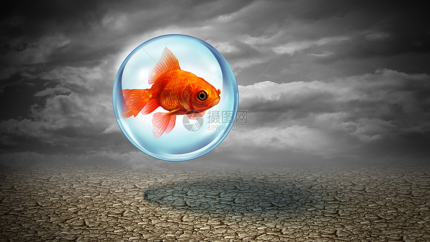 安全概念和保险是金鱼在水屏内受到保护有3D说明要素图片