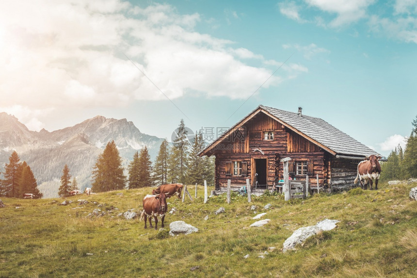 奥地利的山丘小屋阿尔卑斯山脉的自然景观图片