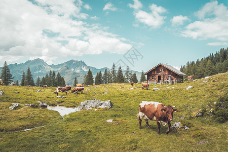 高山症奥地利的山丘小屋阿尔卑斯山脉的自然景观背景