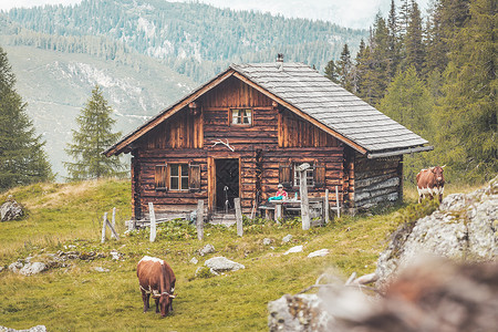 奥地利的山丘小屋阿尔卑斯山脉的自然景观高清图片