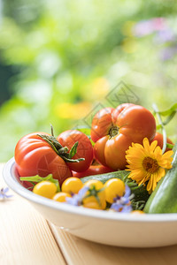 碗里新鲜的多彩蔬菜在自己的花园里养大番茄花和草药图片