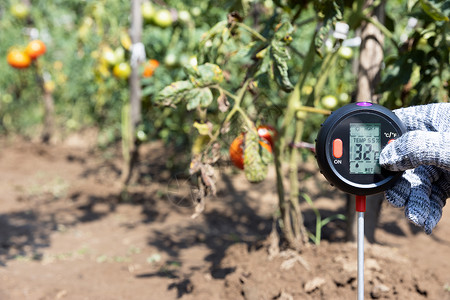 植物园中测量温度土壤湿含量和环境图片