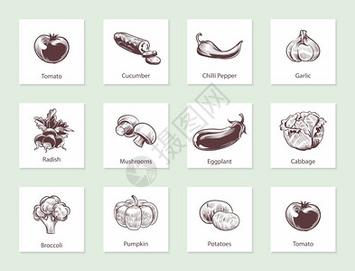 蔬菜幻灯片套件用手画的线蔬菜用各种老式手绘制的带文字生物食品标签设计模板种植生态食品草图样的矢量孤立套件蔬菜幻灯片套件用手画的线背景图片